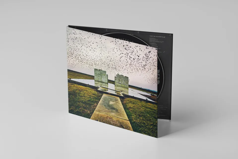 lord-buffalo-holus-bolus-cd-digipak-dition-limit-e-folk-drone image 1