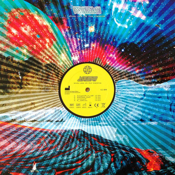 psudoku-parlamentarisk-sodomi-split-vinyle-lp image 1