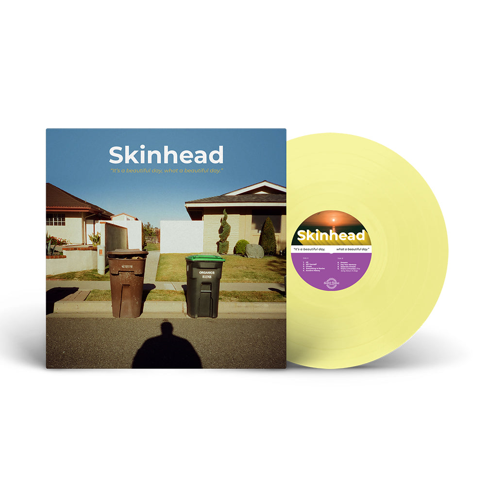 skinhead-it-s-a-beautiful-day-vinyle-lp-bleu-blanc-marbr image 7