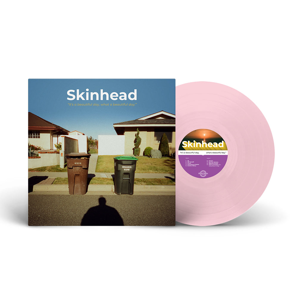 skinhead-it-s-a-beautiful-day-vinyle-lp-bleu-blanc-marbr image 5