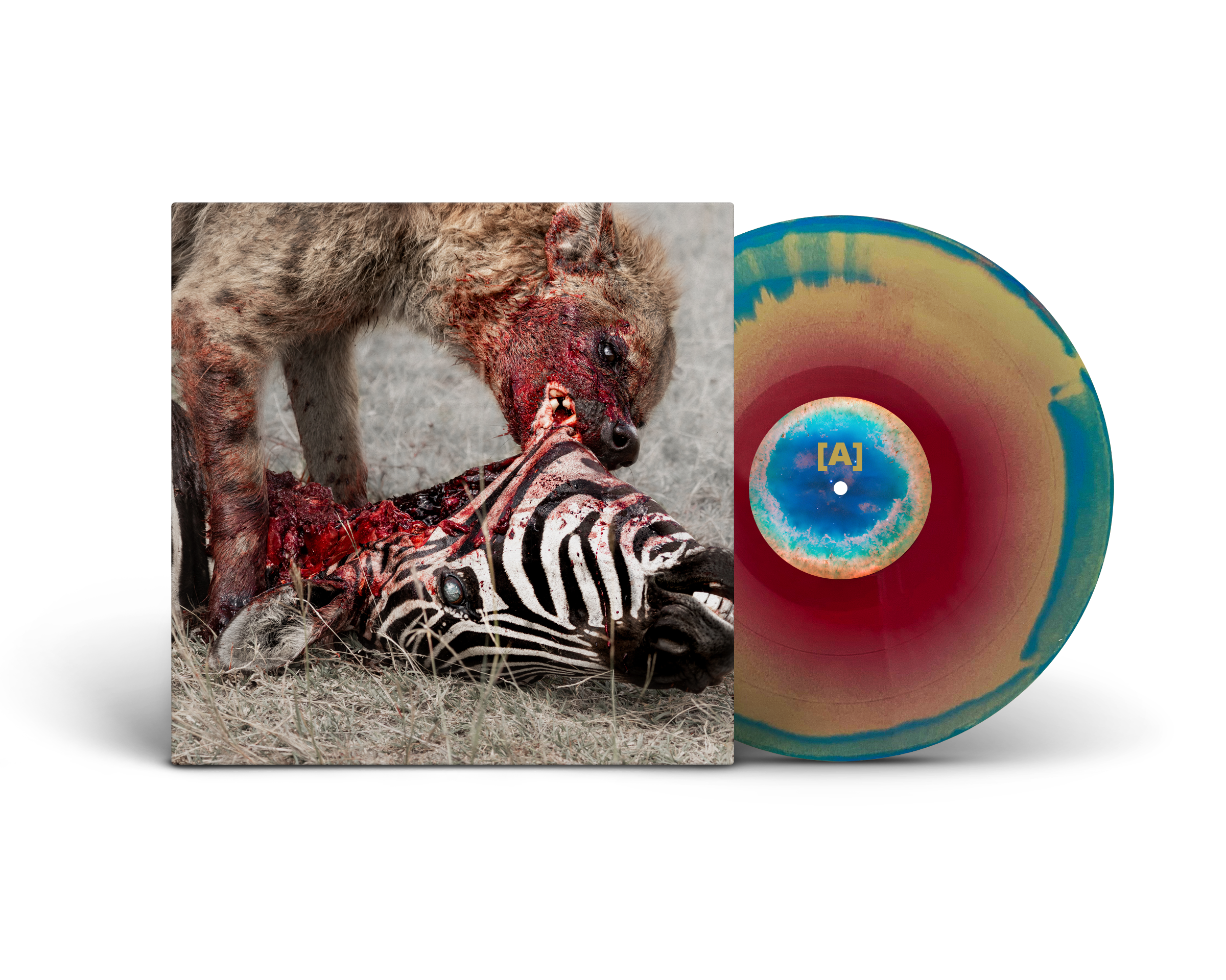 god-is-war-predation-perfected-vinyle-lp-galaxy-merge image 2