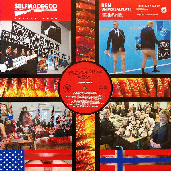 psudoku-parlamentarisk-sodomi-split-vinyle-lp image 2