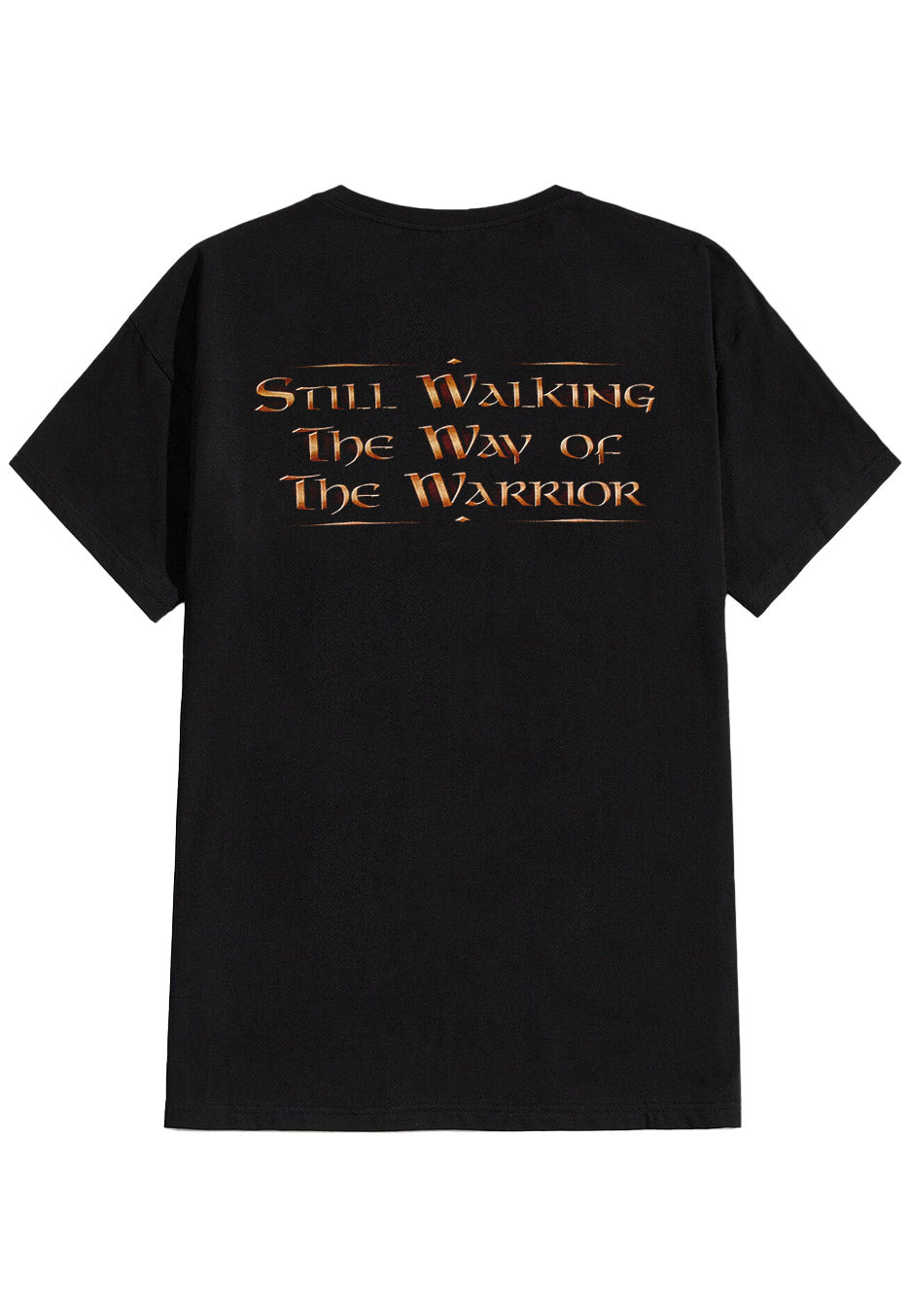 hammerfall-renegade-2-0-t-shirt-noir-power-metal image 2