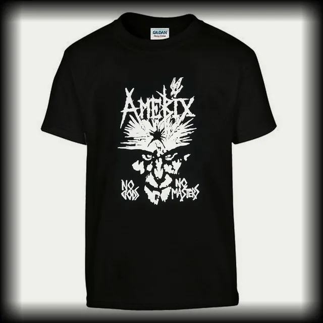 amebix-no-gods-no-masters-t-shirt-gildan-coton-noir image 1