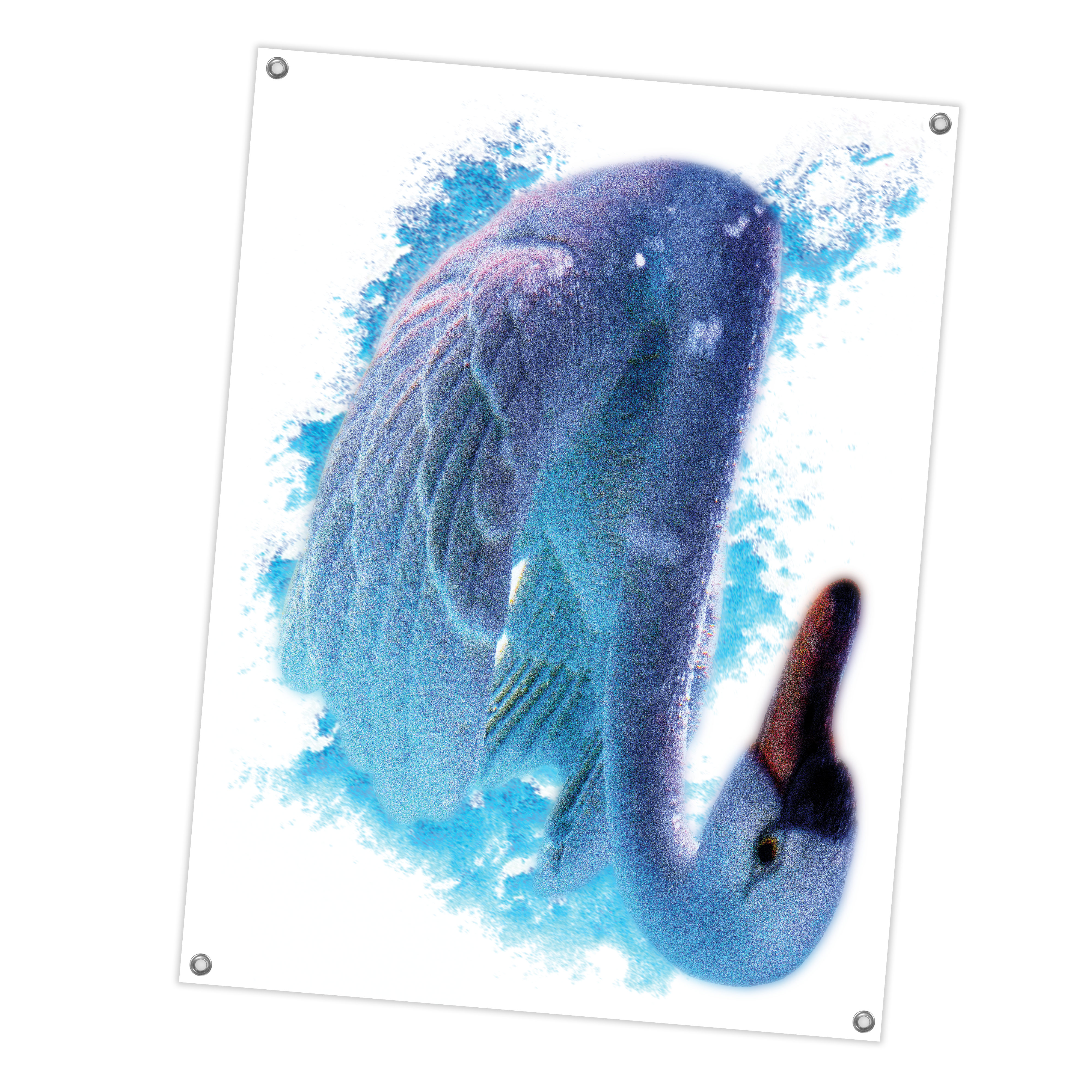 fleshwater-swan-drapeau-tissu-36x48-cygne image 1