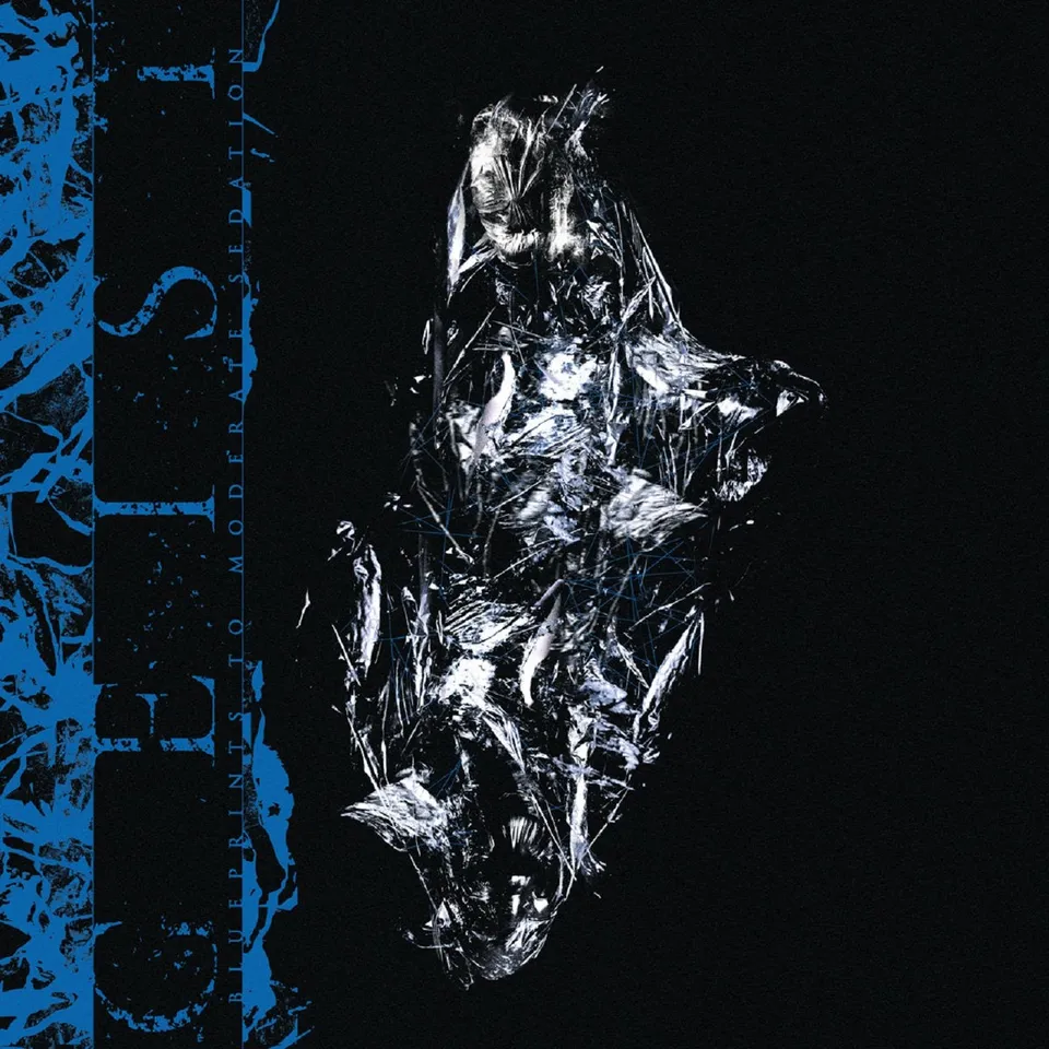 geist-blueprints-to-moderate-sedation-vinyle-lp-limit-100 image 1