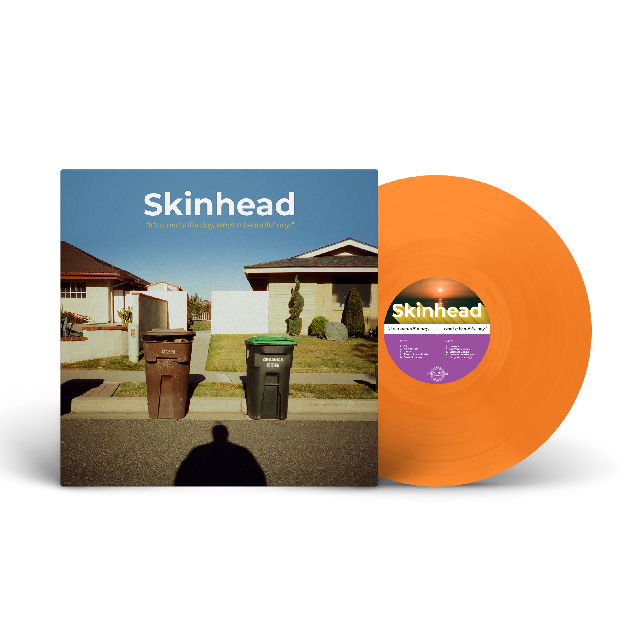 skinhead-it-s-a-beautiful-day-vinyle-lp-bleu-blanc-marbr image 3