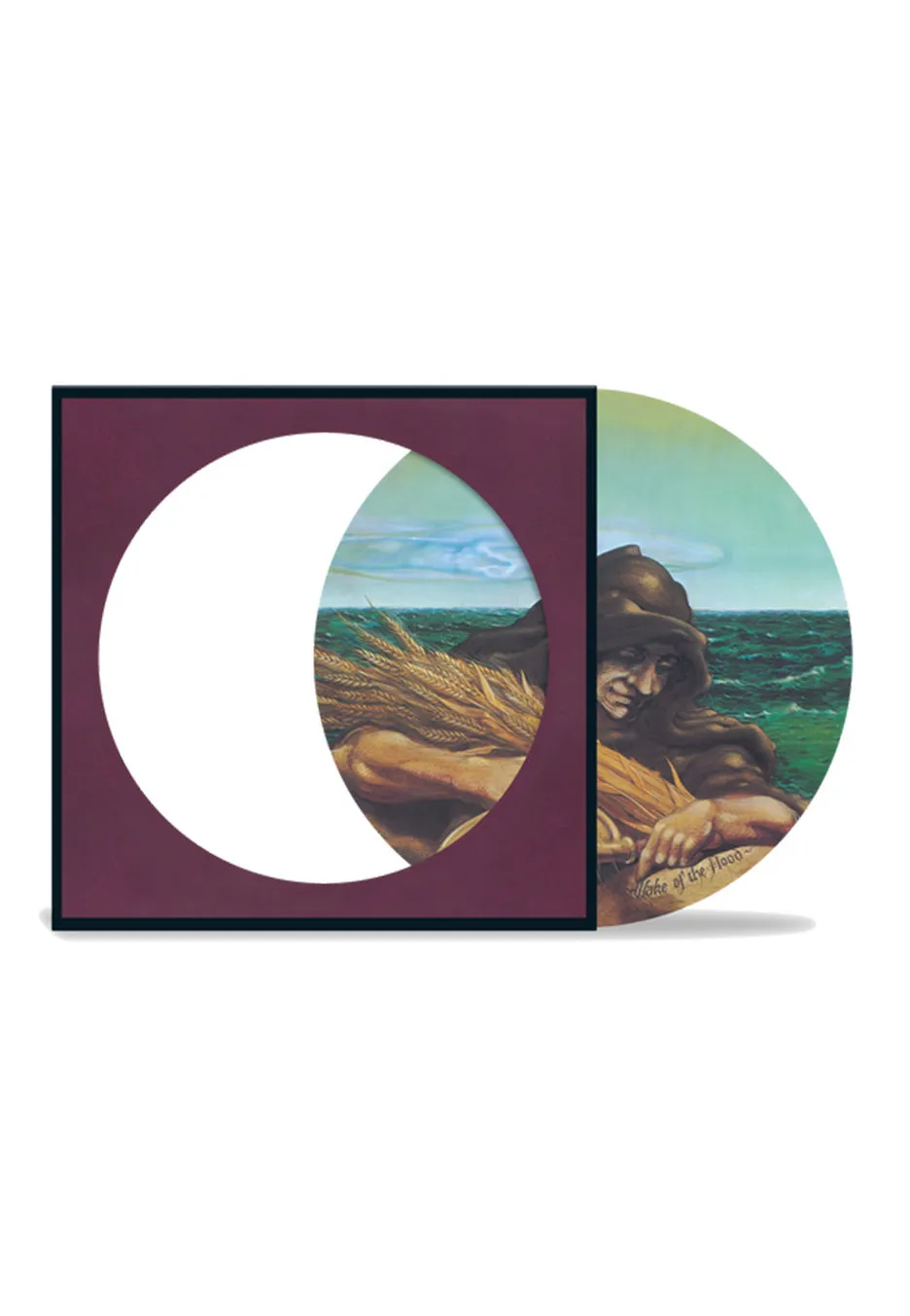 grateful-dead-wake-of-the-flood-picture-vinyle-remaster image 1