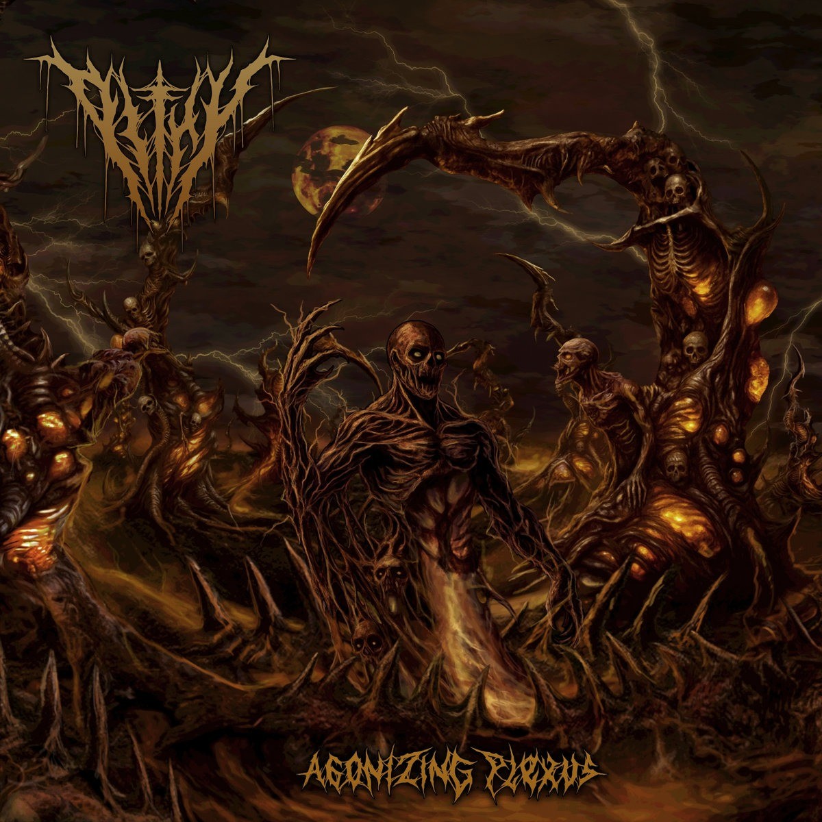 pithy-agonizing-plexus-cd-album-death image 1