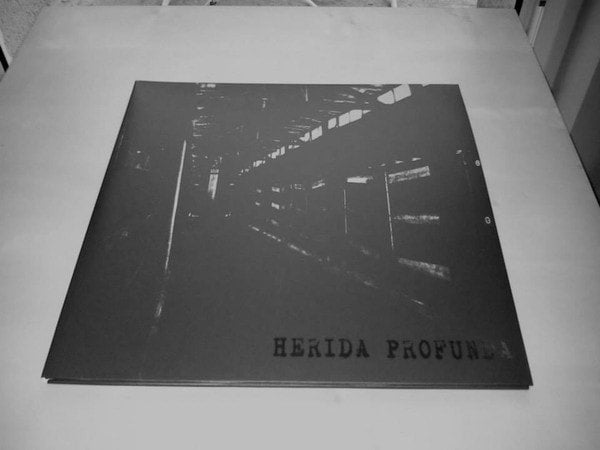 783punx-lp-herida-profunda-s-t-vinyle-noir-gatefold image 2