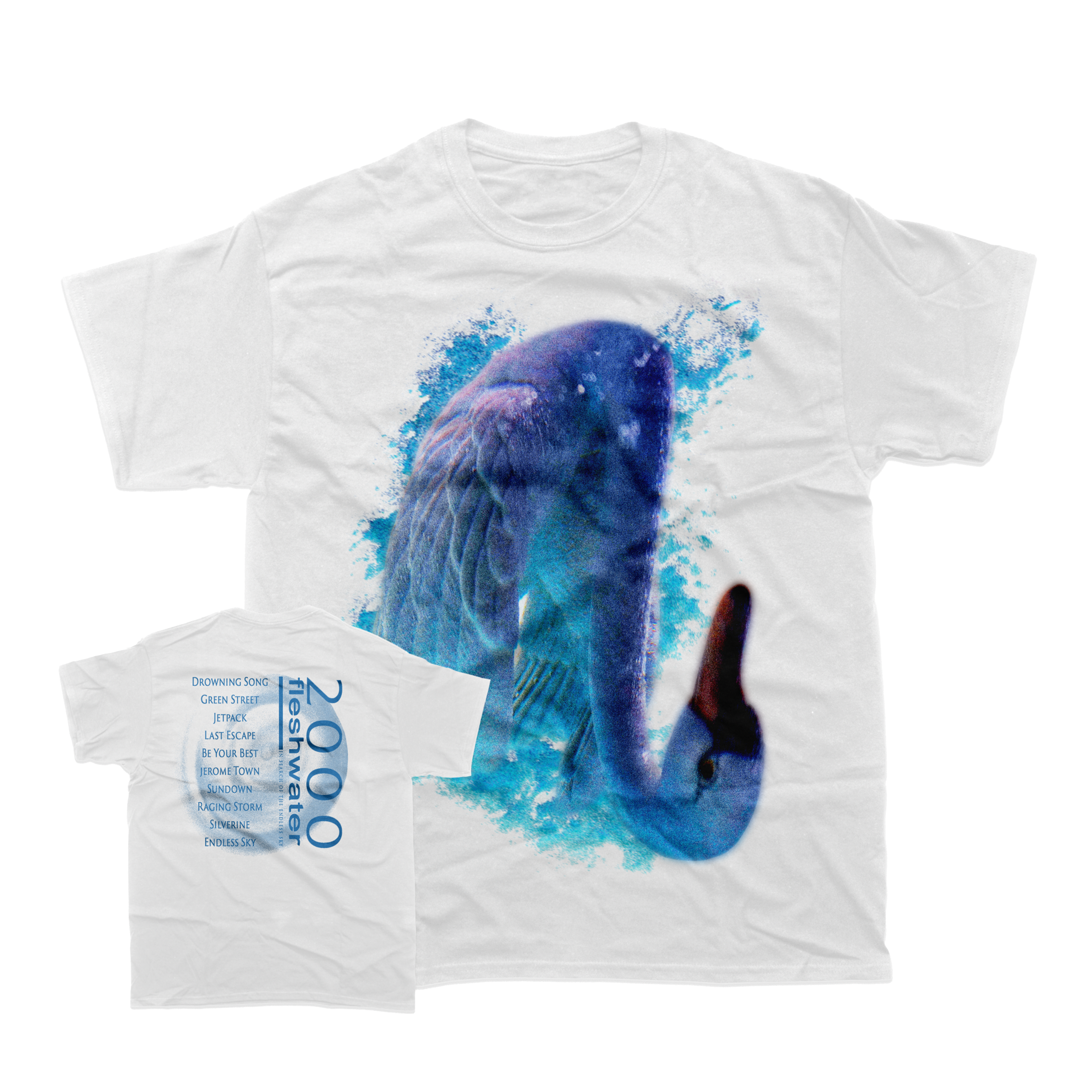 fleshwater-swan-t-shirt-coton-comfort-colors image 1