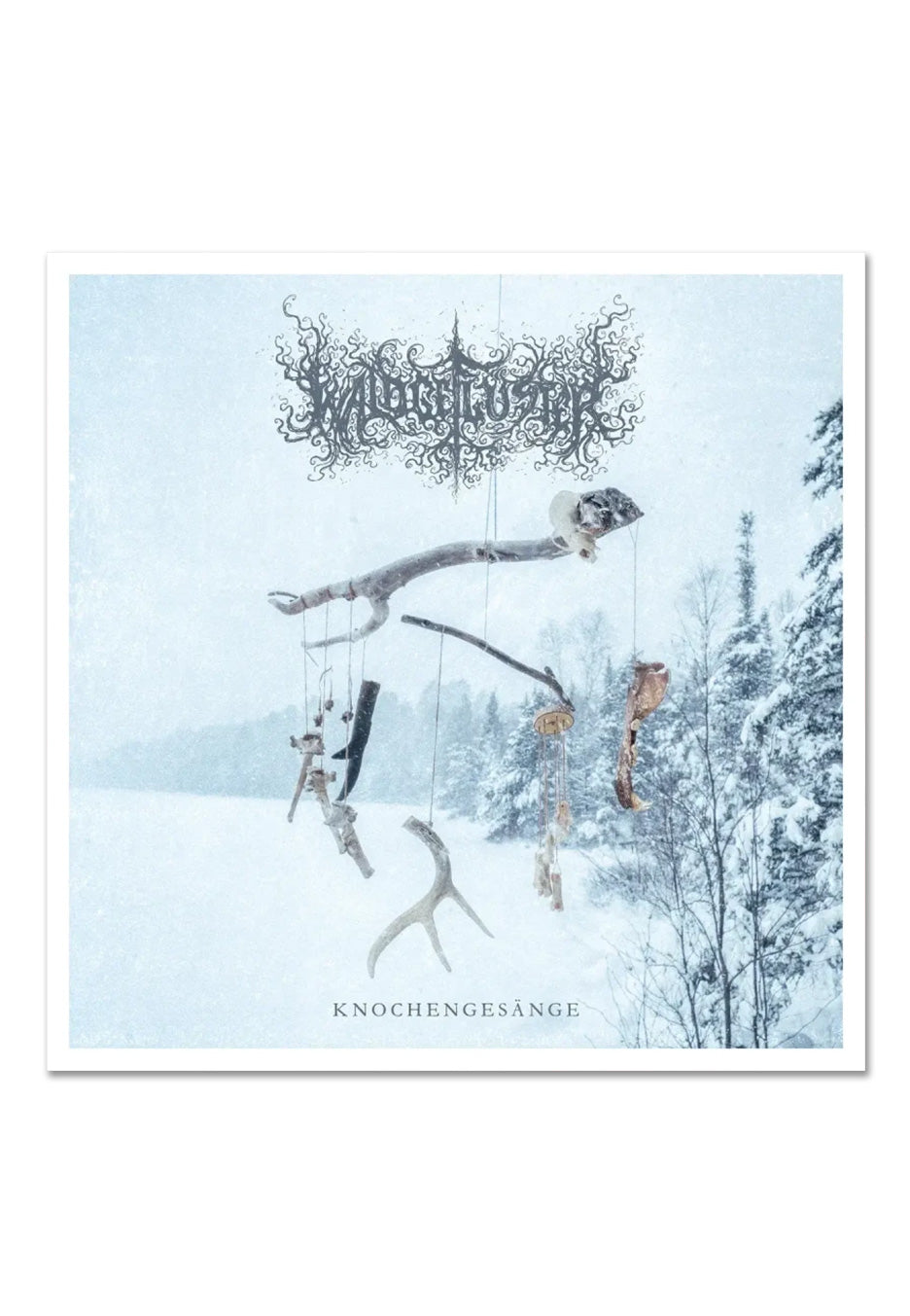 waldgefl-ster-knochenges-nge-double-vinyle-black-metal image 2
