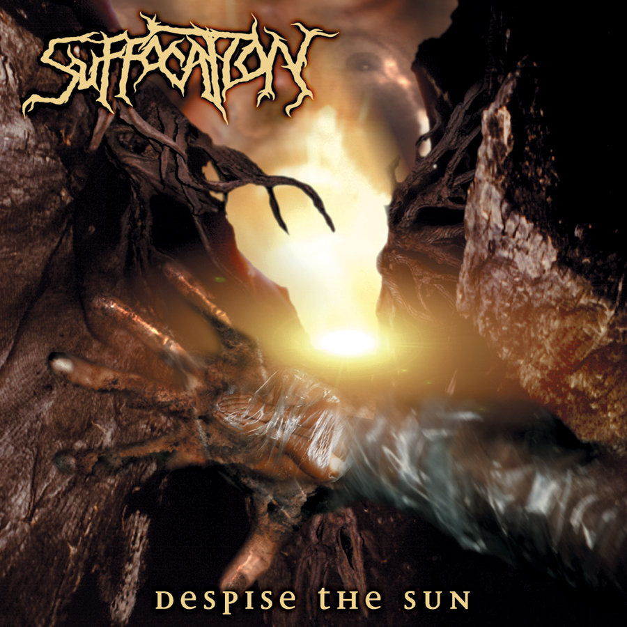 suffocation-despise-the-sun-lp-vinyle-death-metal image 1