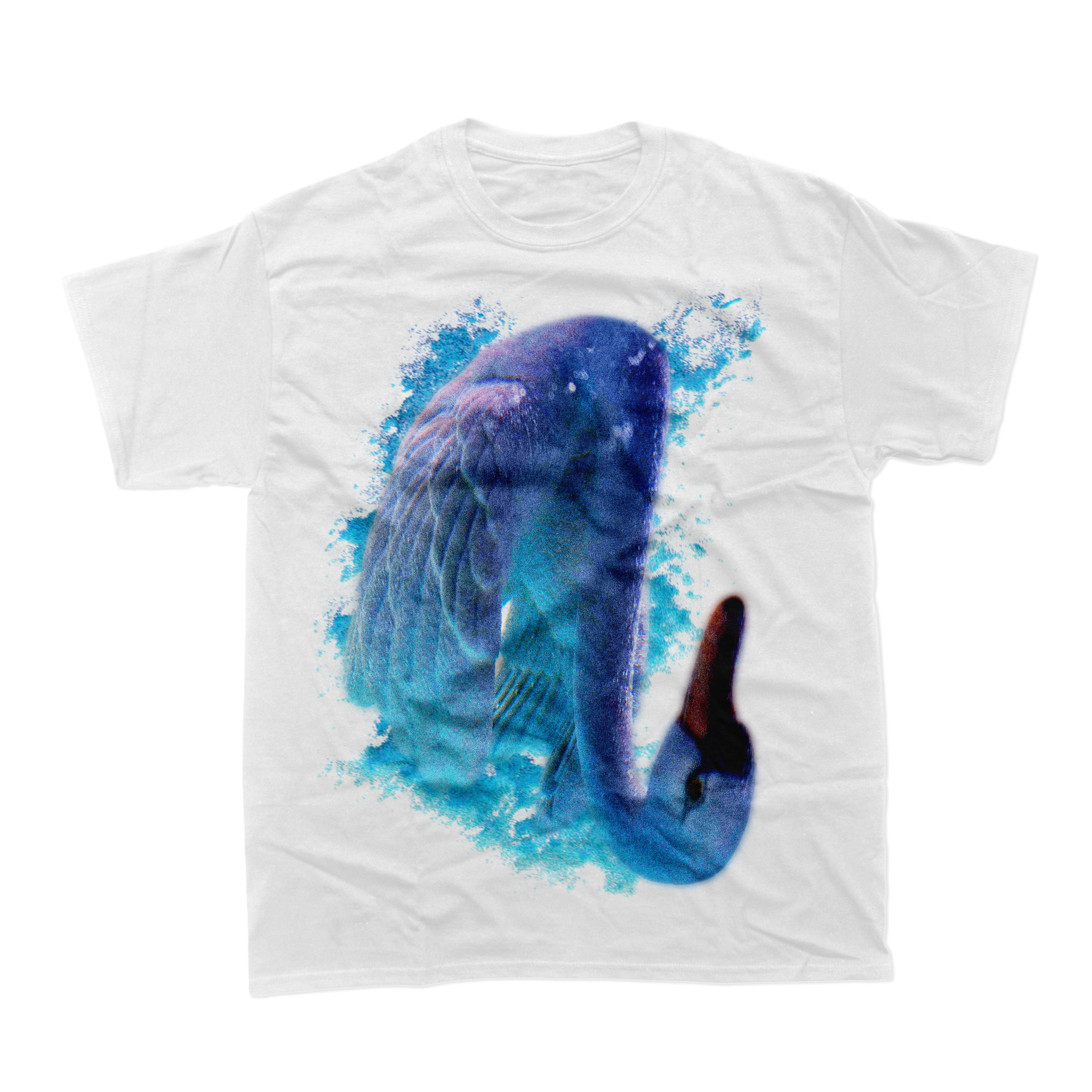 fleshwater-swan-t-shirt-coton-comfort-colors image 2