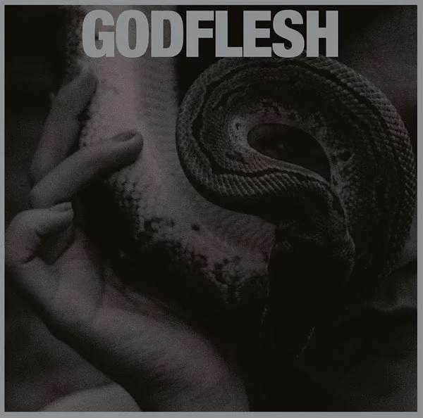 godflesh-purge-vinyle-lp-metal-indus image 1
