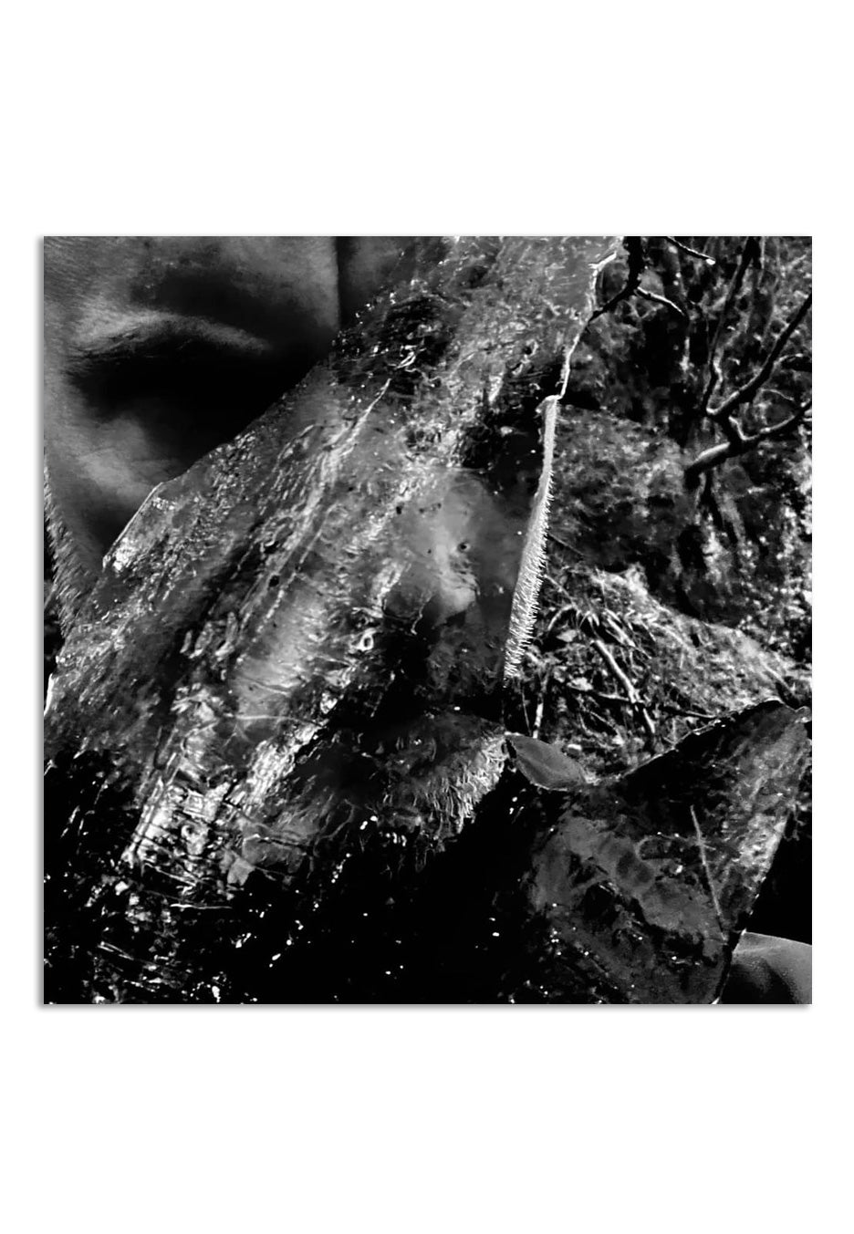 taake-en-skog-av-nidstang-cd-digipak-black-metal image 1