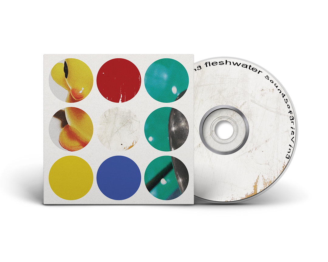 closed-casket-activities-fleshwater-sounds-of-grieving-vinyle-lp-milky-clear image 5