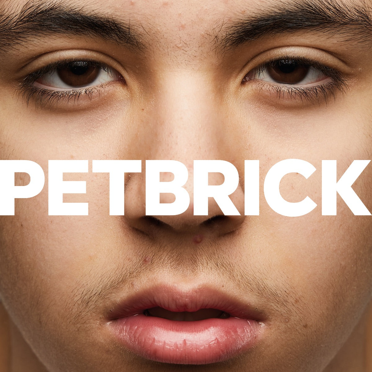 petbrick-i-vinyle-lp-rose-bleu-blanc-merge-hardcore image 1