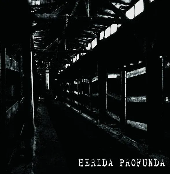 herida-profunda-s-t-cd-disque-crust-hardcore-punk image 1